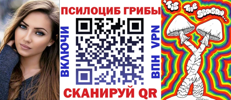 Купить закладки  Почеп  Галлюциногенные грибы Psilocybine cubensis 